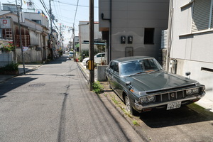 XT504989