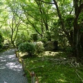 XT505001