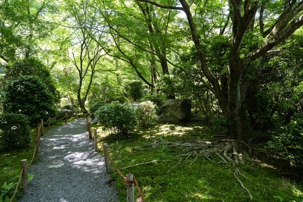 XT505001