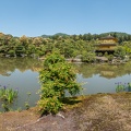 XT505016-Panorama