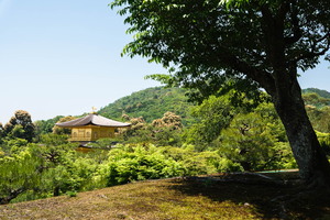 XT505037