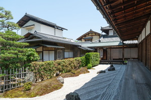 XT505055