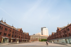XT505119