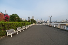 XT505149