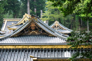 XT505180