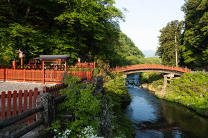 XT505230