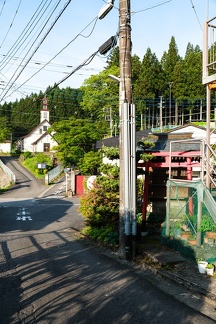 XT505237