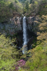 XT505338