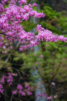 XT505340