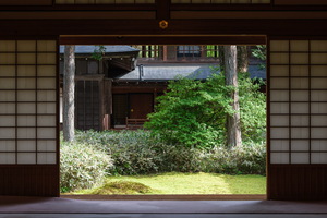 XT505371