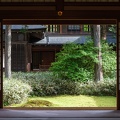 XT505371