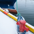 XT512263.jpg