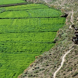 Trek dans l'Atlas marocain