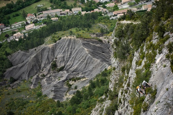 La jungle en folie