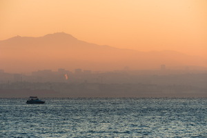 dsc 80813