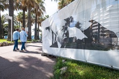 Cannes, autour du Festival