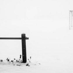 En Noir et Blanc