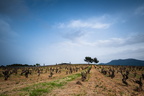 Paysages d'en-bas