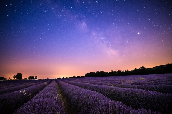 Les couleurs de la nuit