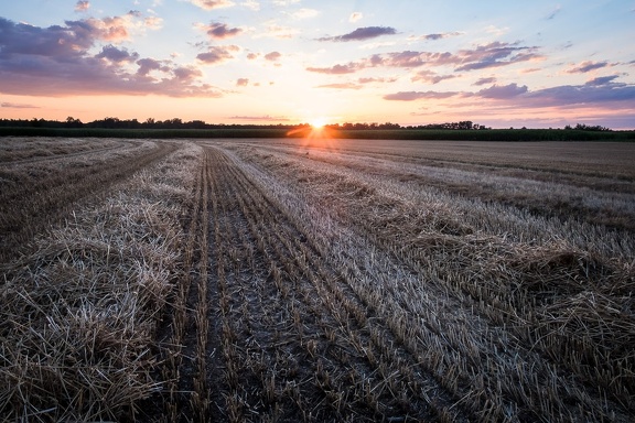 Après la moisson