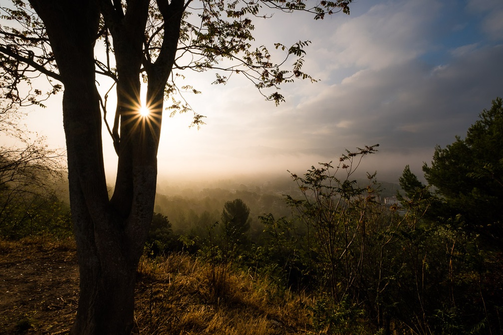 Brouillard d'automne