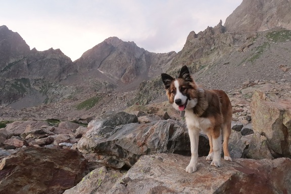 Argentera par le refuge Remondino, depuis le Boreon