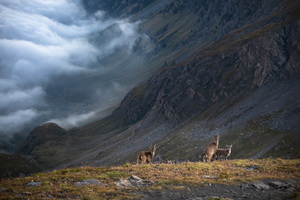 Bivouac à la Pointe Joanne (ou Monte Losetta)