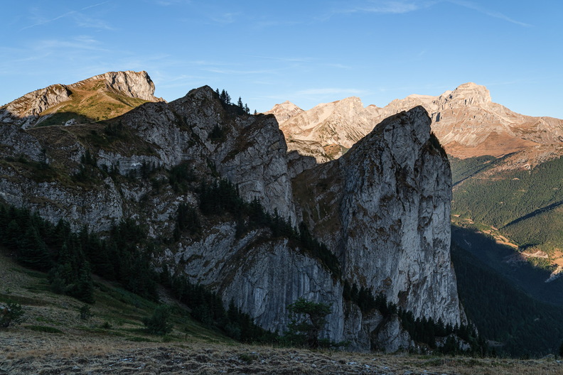 XT517835.jpg