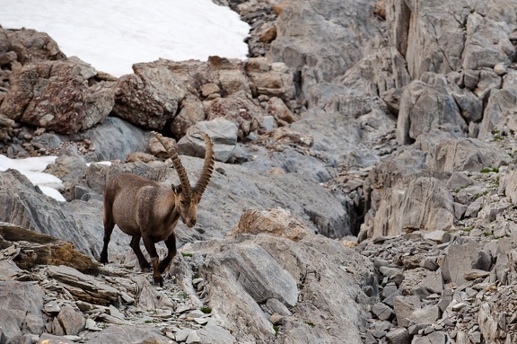 Bivouac au Grand Galibier