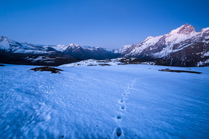 dsc25957