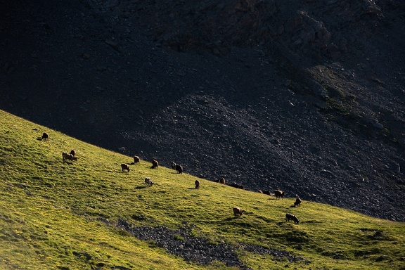 Bivouac à la Tête de Girardin