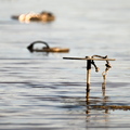 XT520062
