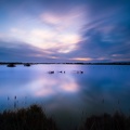 Les Salins du Lion