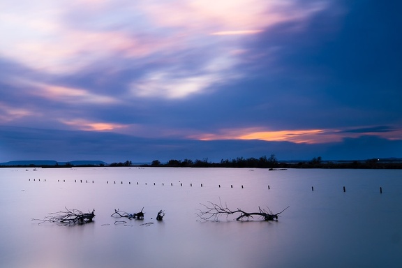 Les Salins du Lion