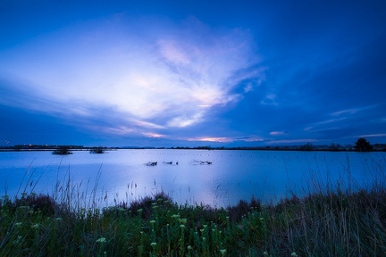 Les Salins du Lion