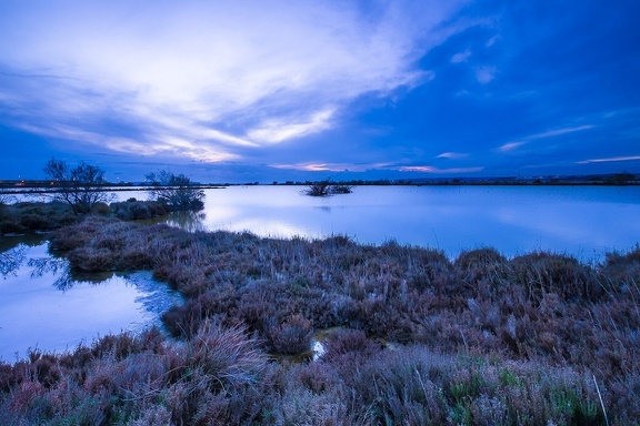 Les Salins du Lion