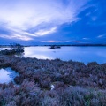 Les Salins du Lion