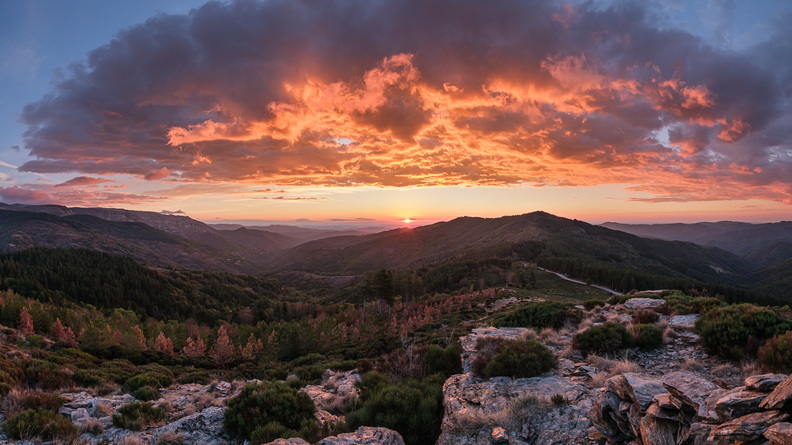 XT520446-Panorama.jpg