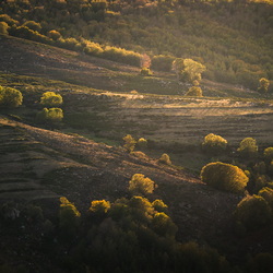 Lozère