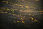 Lozère