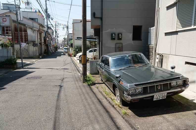 XT504989
