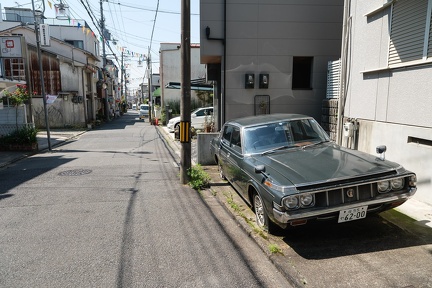XT504989