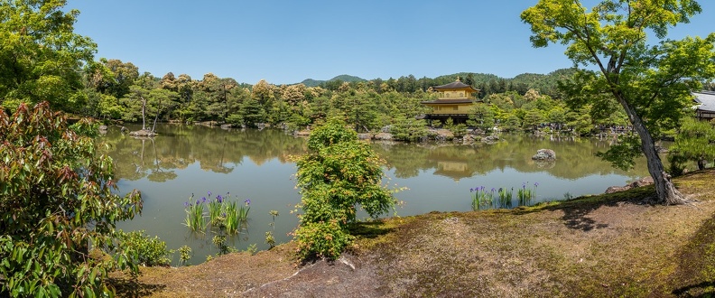 XT505016-Panorama