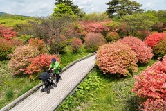 XT505413