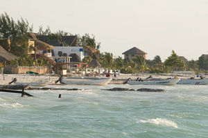 dsc 2183