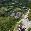 La jungle en folie