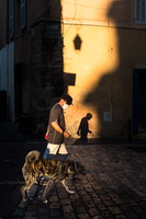 Monsieur promène son chien